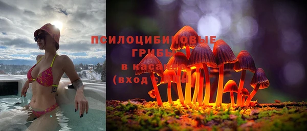 дмт Богородицк